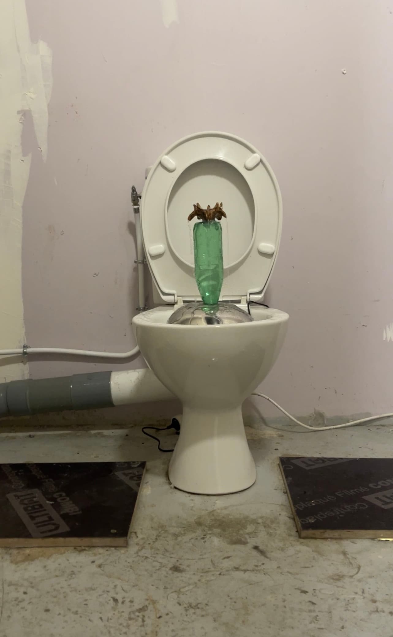 Fountain installation by Tina Atami - toilet with green bottle
